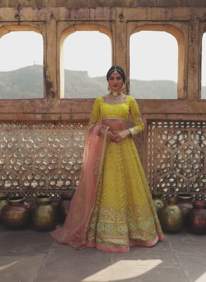 Yellow Embroidered Net Lehenga