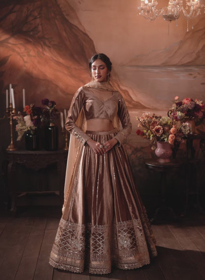 Taupe Embroidered Velvet Lehenga