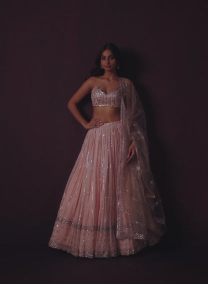 Blush Embroidered Georgette Lehenga