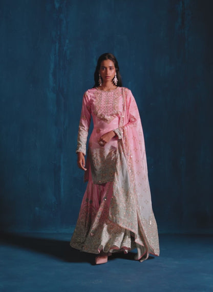 Pink Multicolor Embroidered Gharara Suit