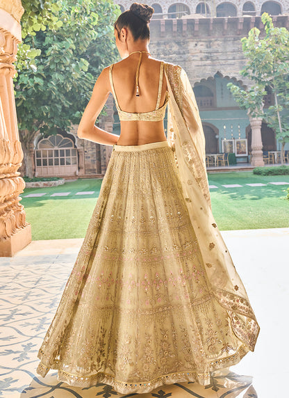 Dusty Mint Organza Lehenga