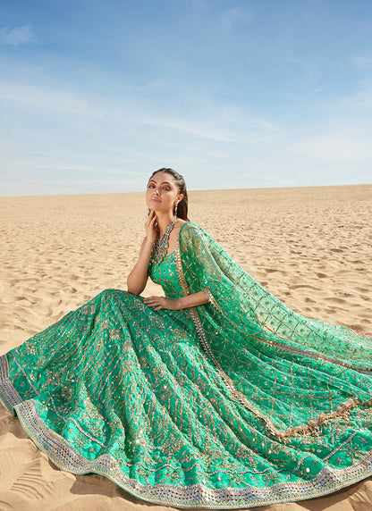 Green Mirror Embroidered Organza Anarkali