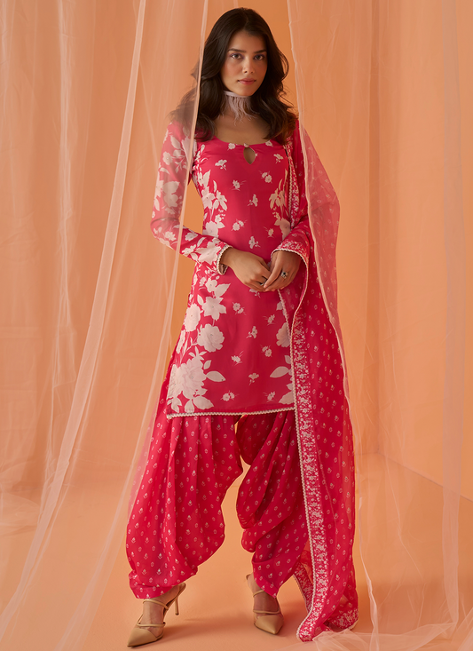 Punjabi Suit : Buy Indian Designer Latest Punjabi Suits Online USA
